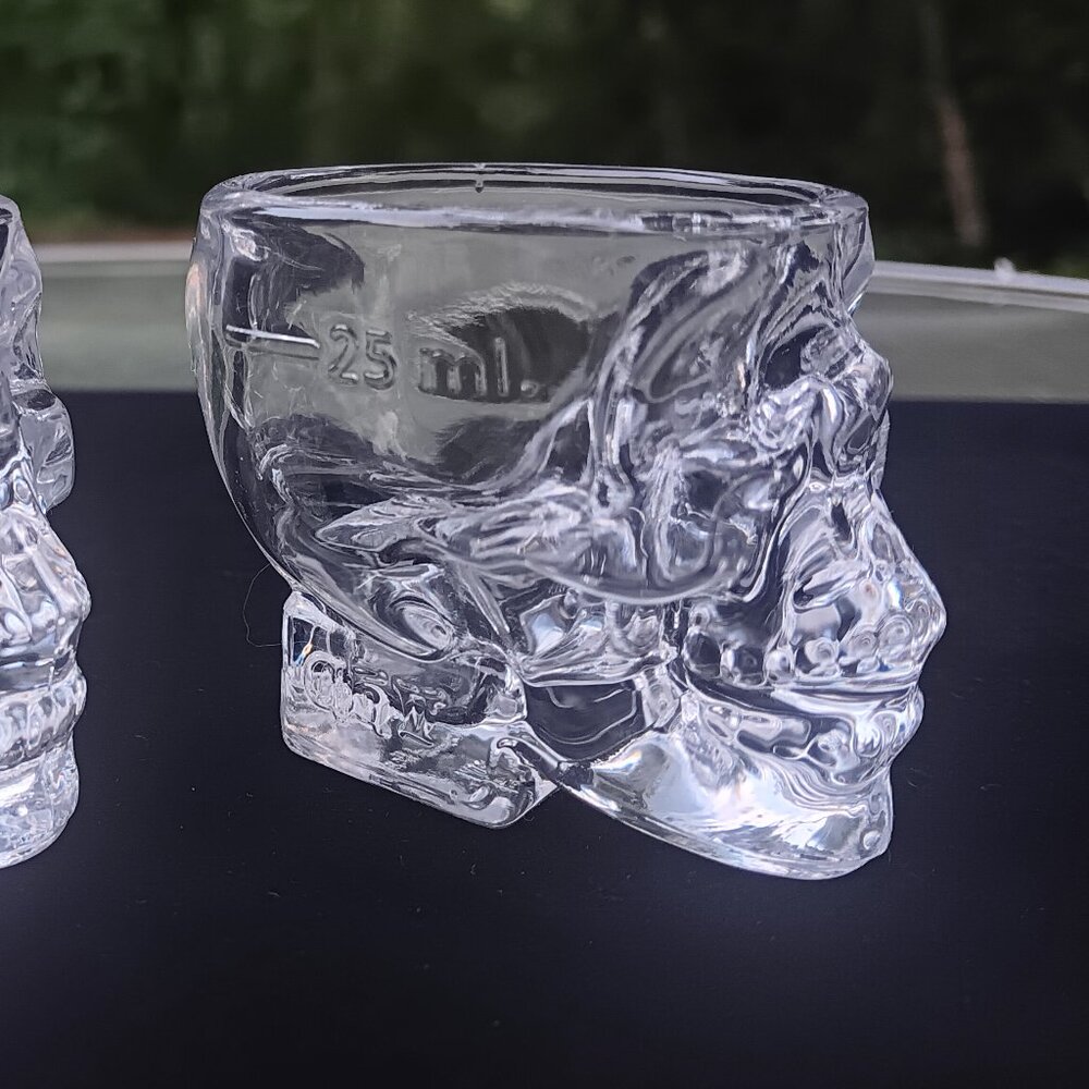 (2) Crystal Head Vodka Collectable Shot Glasses